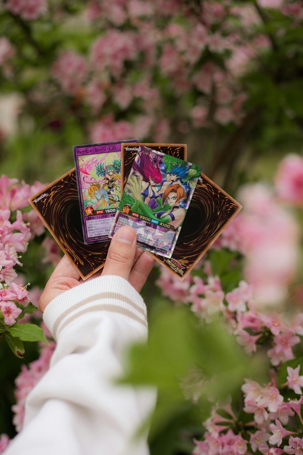 Découvrez votre carte yu-gi-oh! idéale en quelques clics